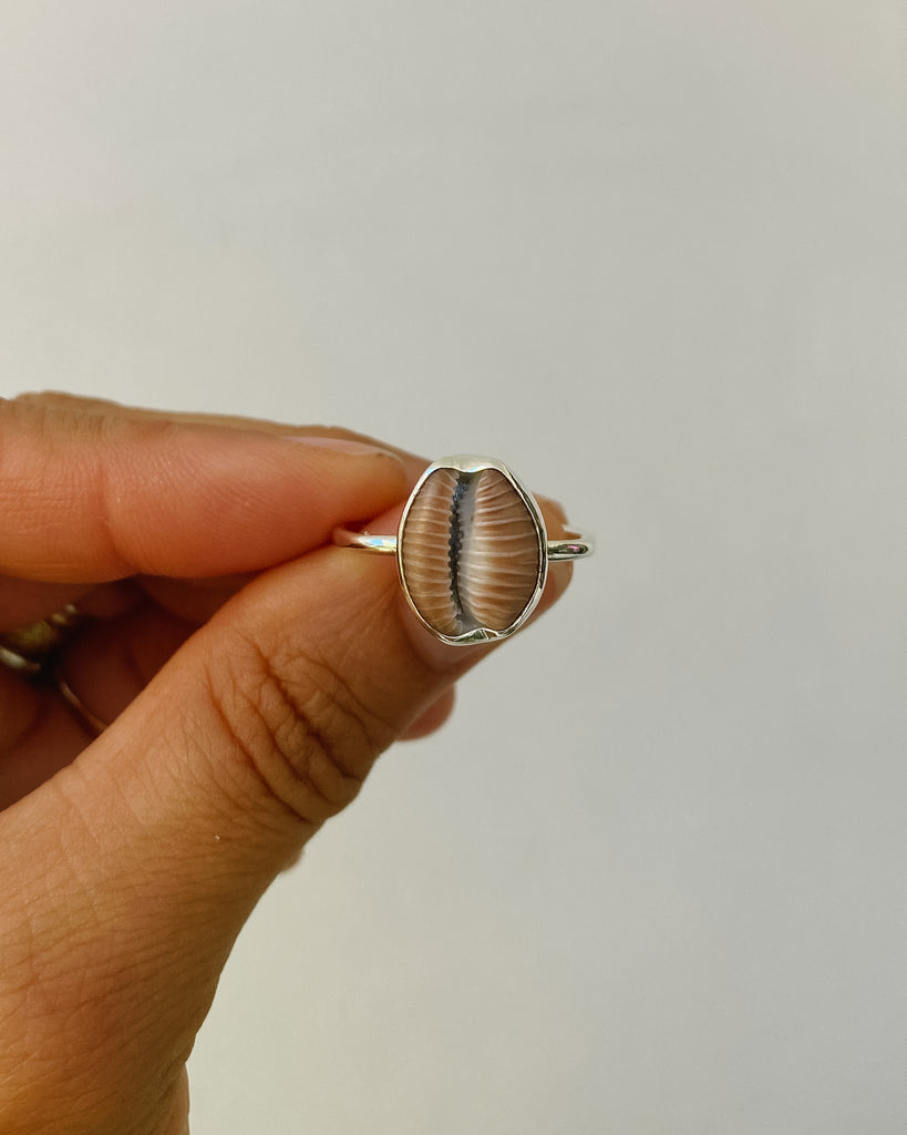 coffee bean trivia shell ring in silver - made to order