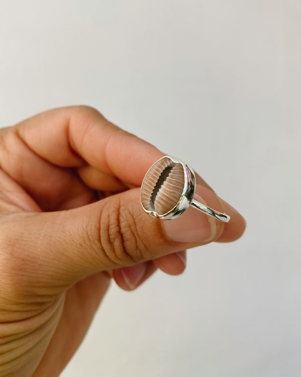 coffee bean trivia shell ring in silver - made to order
