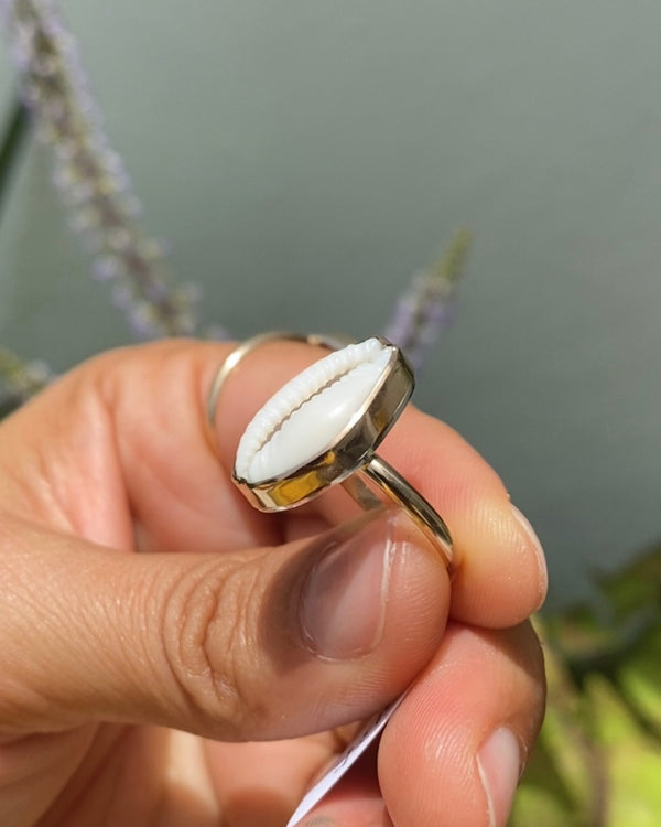 cowrie shell ring in 14k gold filled, size 6