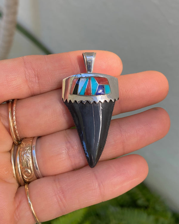 Fossilized shark teeth pendants