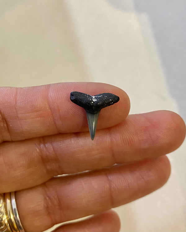 reserved - hoop for Natalie