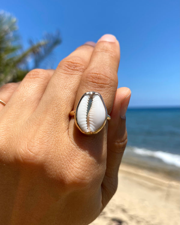 classic SLJ cowrie ring in 14k gold filled with local shell, size 7