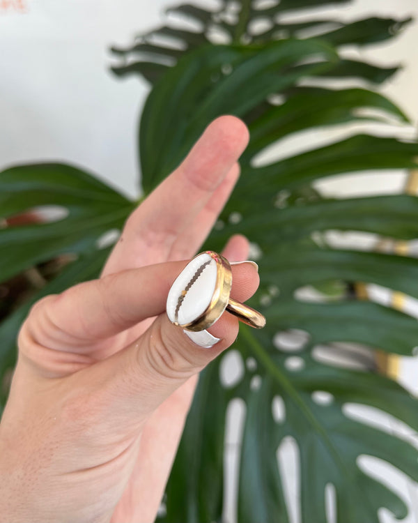 Cowrie Shell Ring in 14k gold filled, size 7