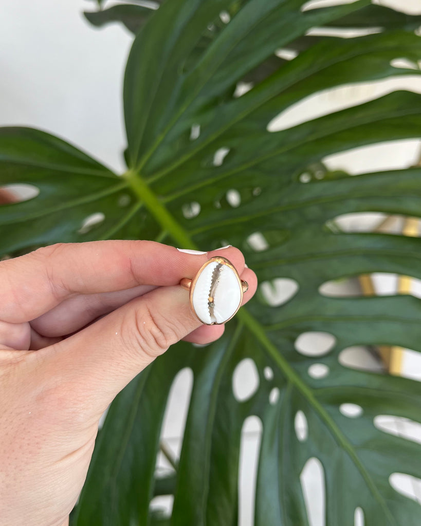 Cowrie Shell Ring in 14k gold filled, size 7