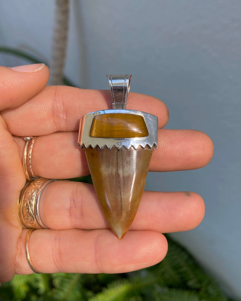 Fossilized shark teeth pendants