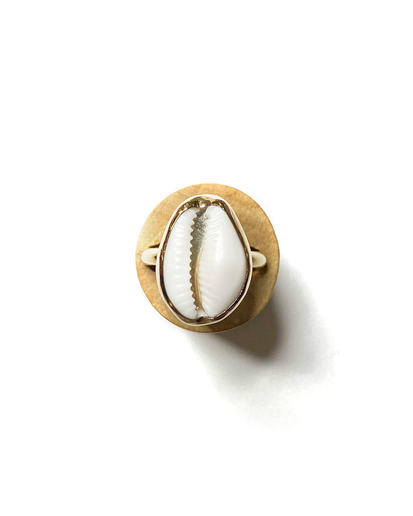classic SLJ cowrie ring in 14k gold filled with local shell, size 7