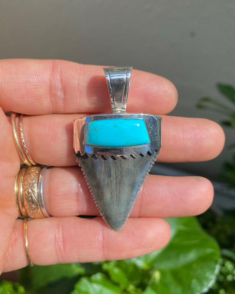 Fossilized shark teeth pendants