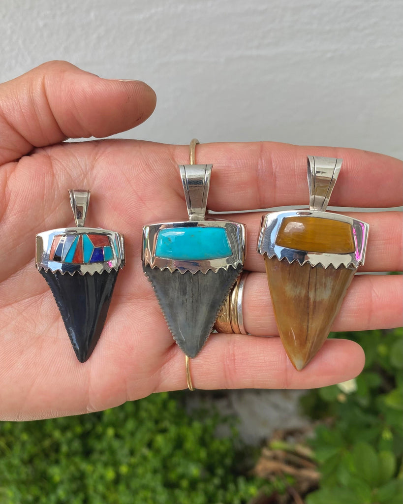 Fossilized shark teeth pendants