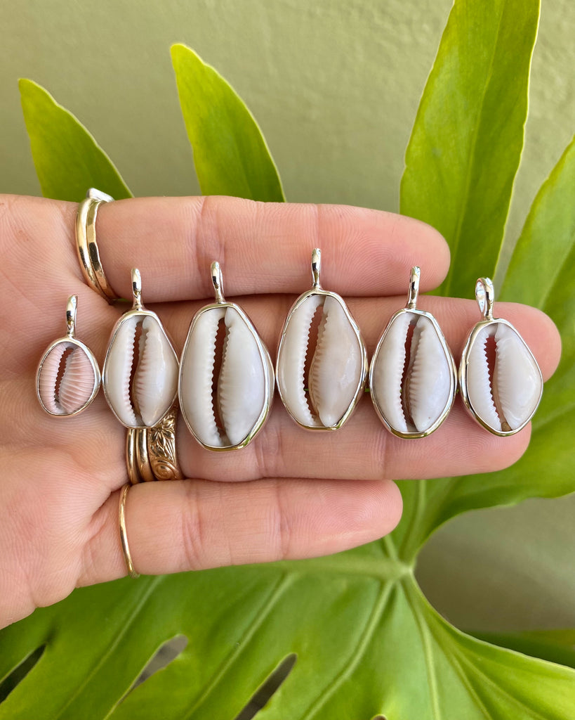 cowrie + trivia shell necklaces in silver